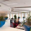 blauwe schaal dracena overzicht (1 van 1)